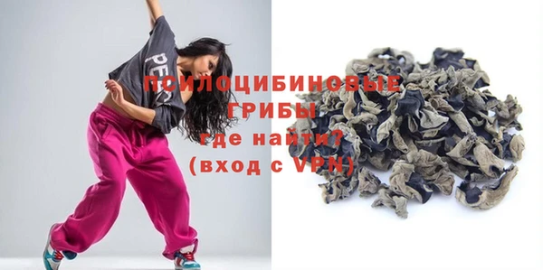 соль ск Медногорск