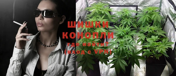 шишки Михайлов