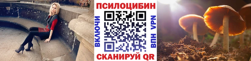 Галлюциногенные грибы Cubensis  ОМГ ОМГ зеркало  Пикалёво 